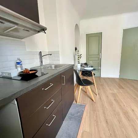 Vienne - Spacieux Et Confortable En Plein Centre Lejlighed