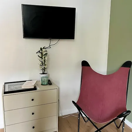 Apartamento Vienne - Spacieux Et Confortable En Plein Centre