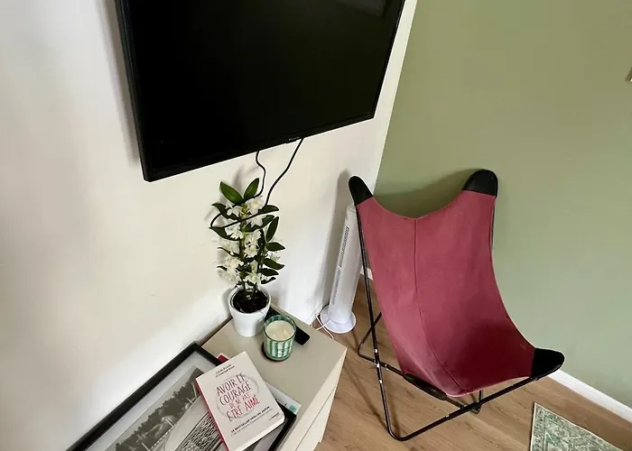 Vienne - Spacieux Et Confortable En Plein Centre * Châtellerault