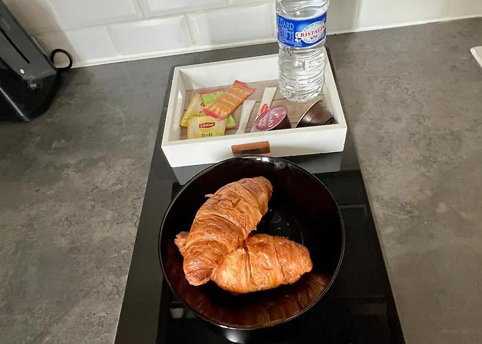 Vienne - Spacieux Et Confortable En Plein Centre Apartamento *