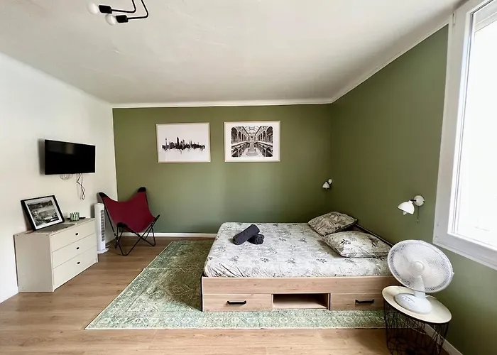 Apartamento Vienne - Spacieux Et Confortable En Plein Centre