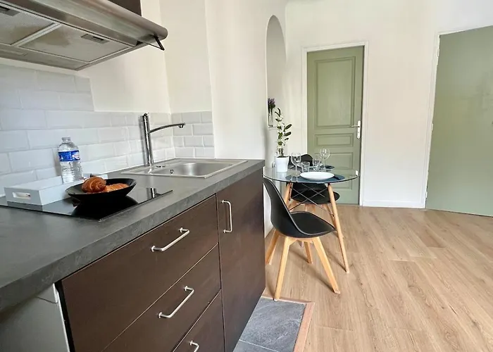 Vienne - Spacieux Et Confortable En Plein Centre Apartamento