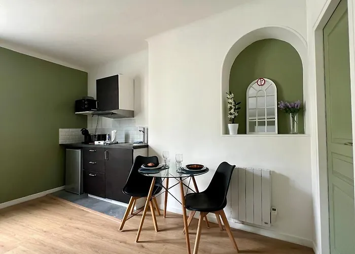 Apartamento Vienne - Spacieux Et Confortable En Plein Centre