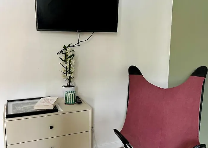 Apartamento Vienne - Spacieux Et Confortable En Plein Centre